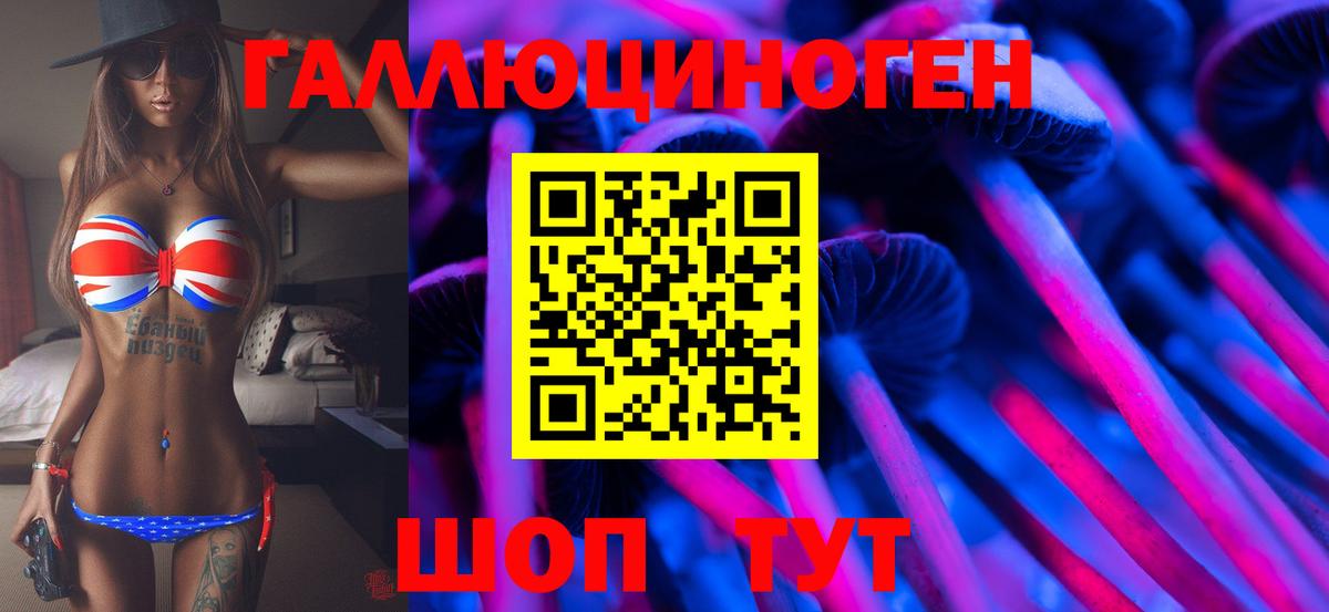 Галлюциногенные грибы Cubensis Нижний Тагил